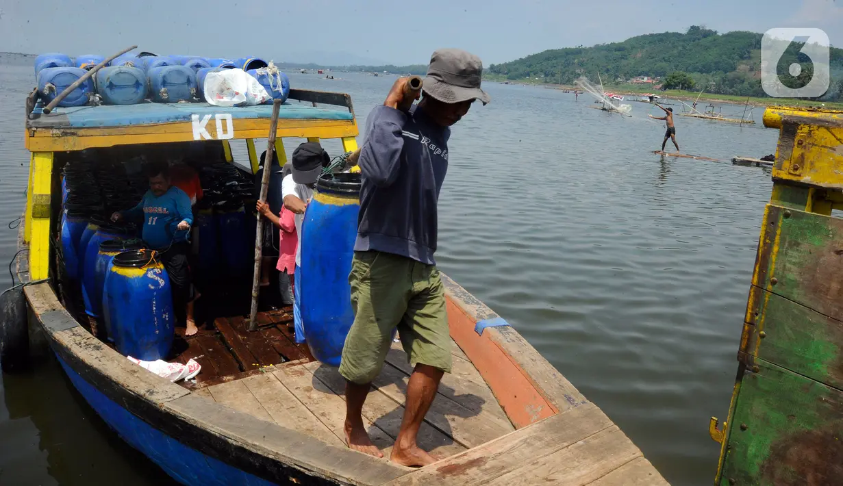 Petani melakukan bongkar muat hasil panen ikan bawal air tawar yang akan dibawa ke Pasar Ikan Muara Angke Jakarta dari Waduk Cirata di kawasan Desa Gudang, Cikalong Kulon, Cianjur, Jawa Barat, Senin (29/8/2022). Sejumlah petani ikan air tawar di kawasan Waduk Cirata sudah lebih dari dua bulan menjerit karena kenaikan harga pakan ikan dari Rp 8.500/kg menjadi Rp 10.500/kg sementara harga ikan bawal konstan Rp 14.500/kg di tingkat petani. (merdeka.com/Arie Basuki)