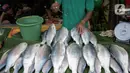 Pedagang menyiramkan air pada ikan bandeng yang dia jual di kawasan Rawa Belong, Jakarta, Selasa (21/1/2020). Bandeng yang biasanya menjadi hidangan khas saat Tahun Baru Imlek tersebut mulai ramai diperdagangkan di Rawa Belong. (Liputan.com/Faizal Fanani)