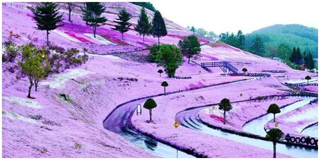 courtesy of OddityCentral