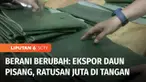 Pernahkah terpikir oleh Anda untuk mengekspor daun pisang dari pekarangan rumah. Seorang perempuan asal Cilacap, mencoba mengekspor daun pisang ke sejumlah negara. Dengan hanya bermodal internet, ia berhasil mengekspor daun pisang dengan keuntungan m...