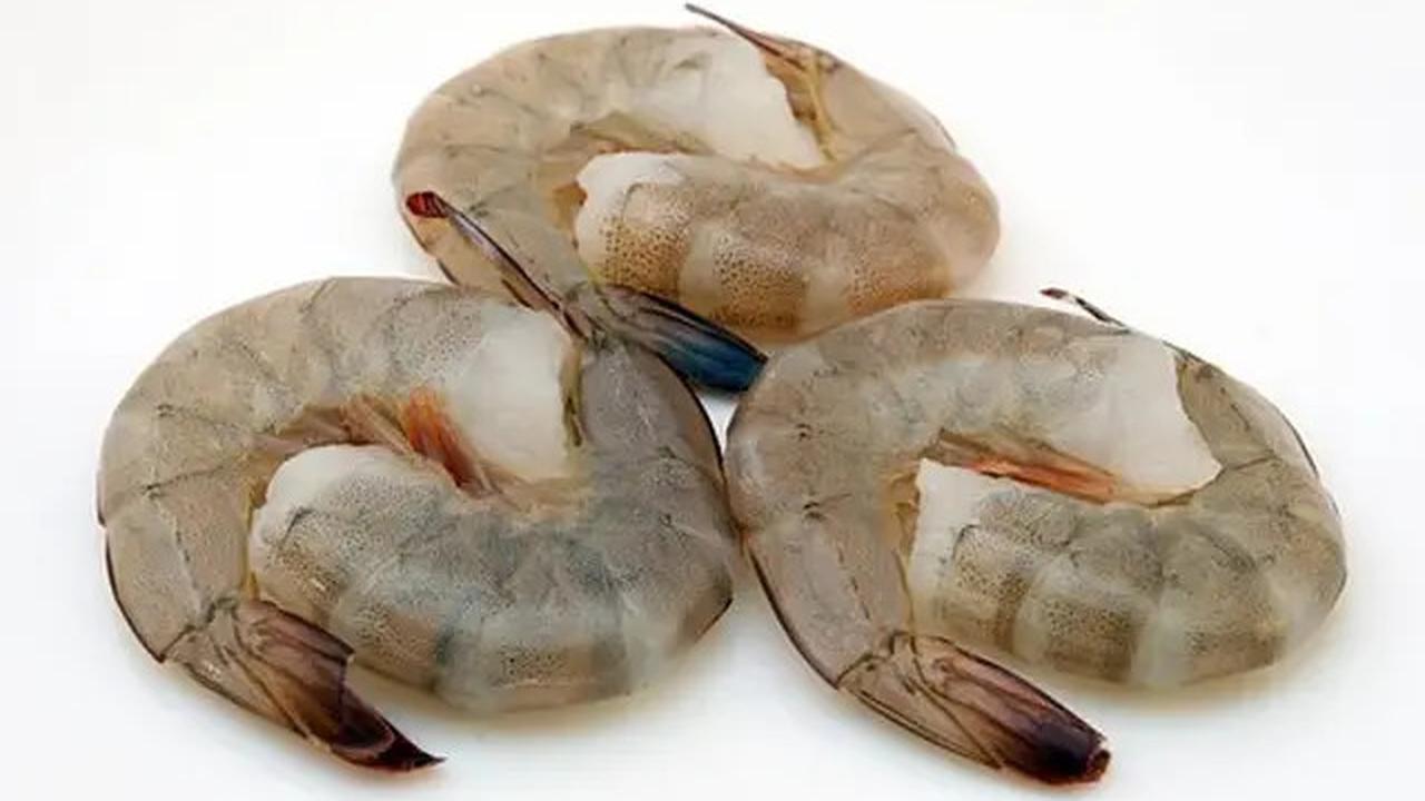 Rahasia Penyimpanan Udang agar Tetap Segar hingga Satu Bulan