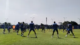 Pentingnya Duel Lawan Manila Digger Bagi Persib Bandung