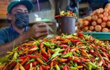 Biang Kerok Harga Cabai Rawit Naik Drastis Saat Ramadan 2025
