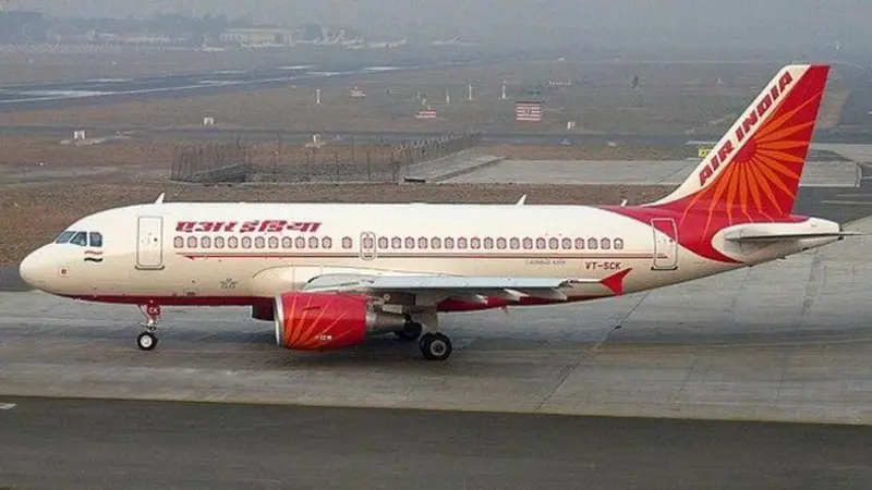 Air India Airbus A-319. (Wikimedia Commons/Sean d'Silva)