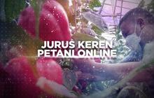 VIDEO: Kisah Petani Sukses Raih Untung Lewat Cara Mudah dan Modern, Ini Rahasianya