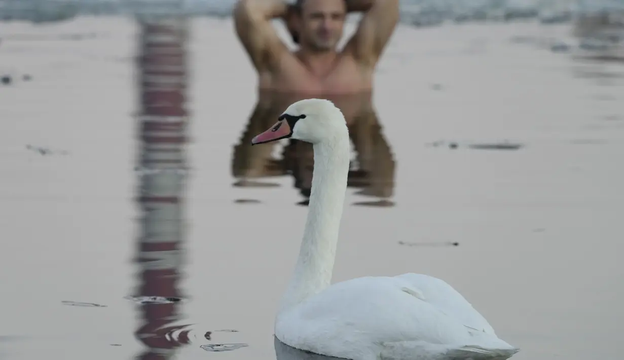 Seorang pria berenang di danau dengan suhu di bawah titik beku di Warsawa, Polandia (26/12/2021). Iklim di Polandia pada musim dingin yang sangat dingin, seringkali di bawah titik beku (0 °C atau 32 °F), dan musim panas yang hangat.  (AP Photo/Czarek Sokolowski)