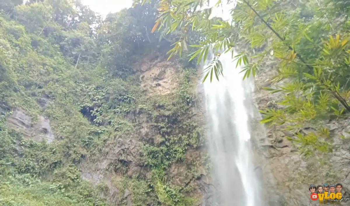 Dihiasi tanaman bambu