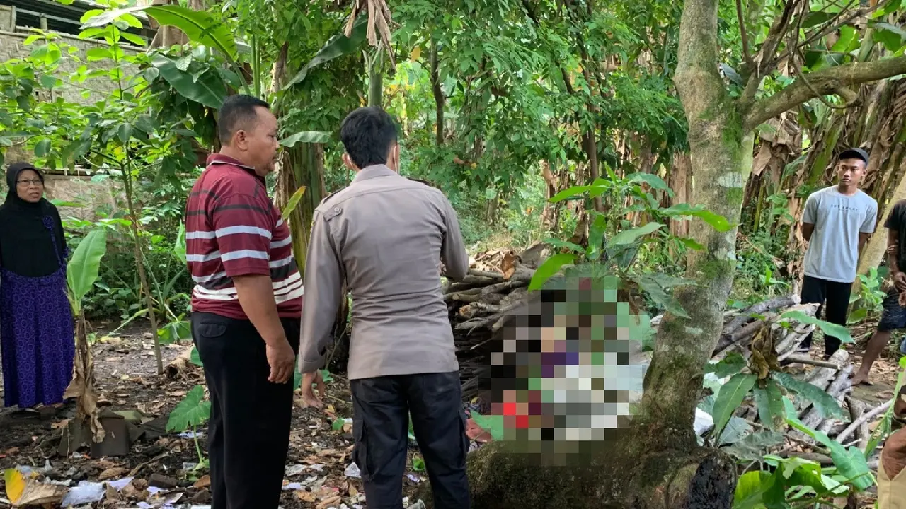 Lansia di Banyuwangi ditemukan tewas di tumpukan kayu  dengan terlilit seutas tali di lehernya (Hermawan Arifianto/Liputan6.com)