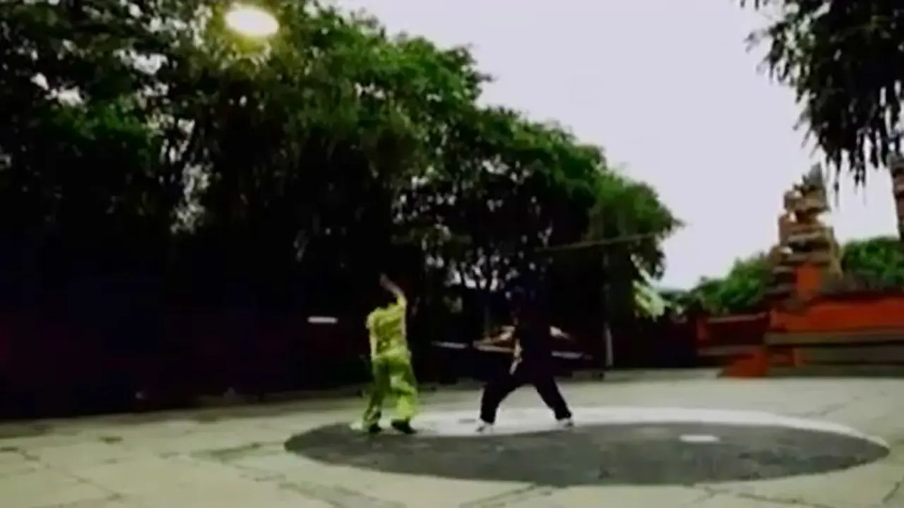 Potret-Kungfu