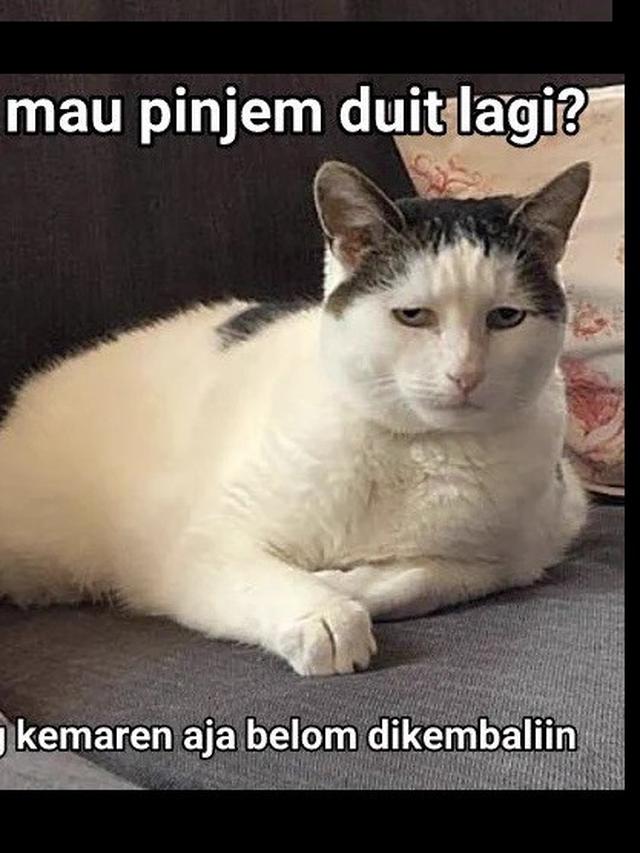 6 Meme Pinjam Duit Ini Kocak, Bikin Geleng Kepala