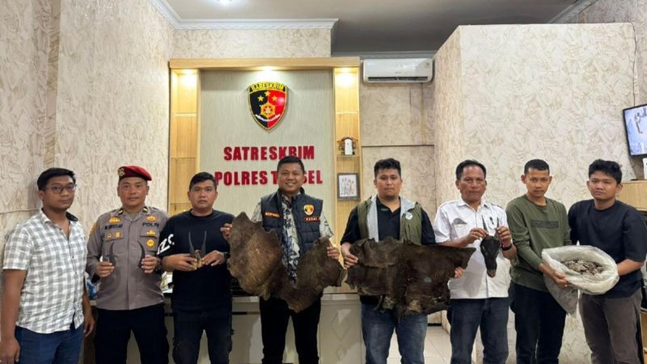Polres Tapanuli Selatan Dalami Kasus Perdagangan Sisik Trenggiling dan Satwa Dilindungi