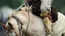 Seorang gaucho atau koboi menunggangi kuda liar saat kompetisi rodeo di San Antonio de Areco , Argentina, Minggu (8/11). Di acara ini, para gaucho atau koboi saling bersaing menunjukkan keahlian mereka menunggangi kuda liar. (AFP PHOTO / Eitan Abramovich)