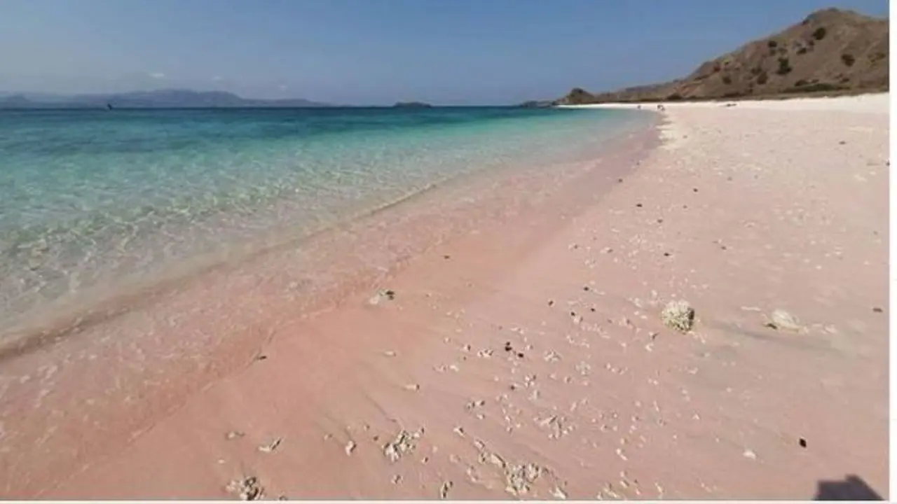 Pantai Tangsi