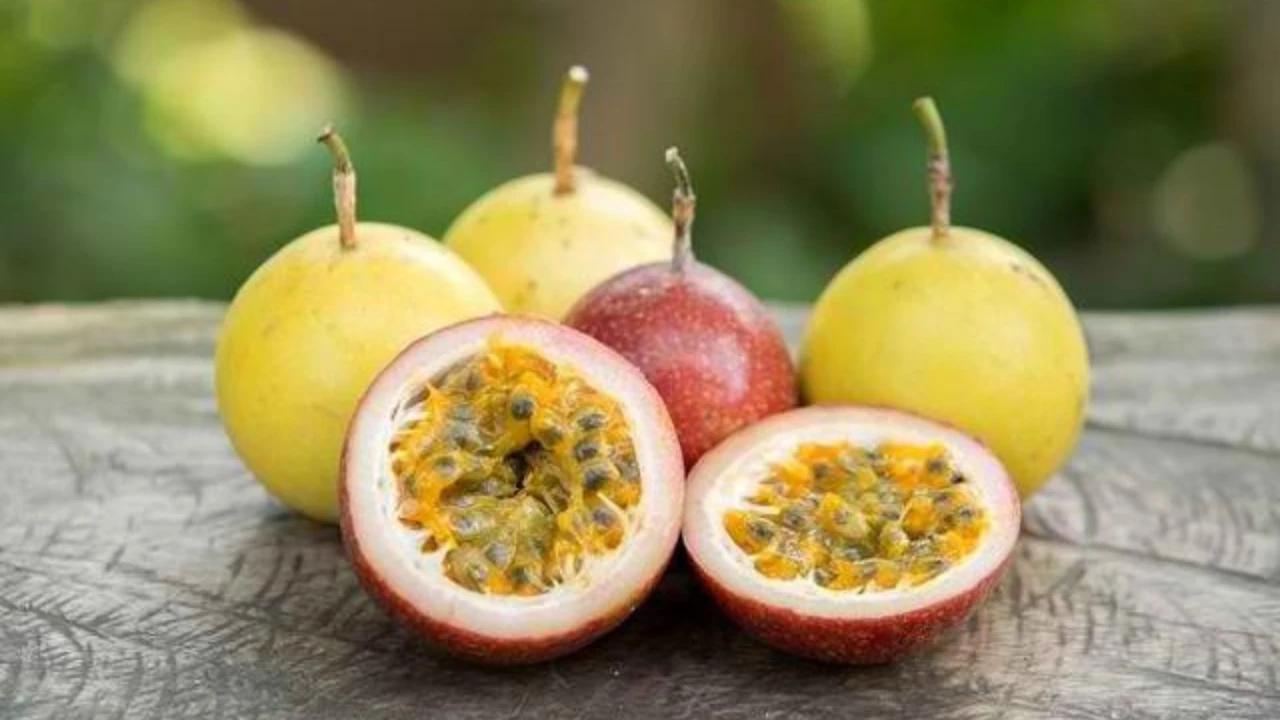 7 Jenis Pohon Buah yang Bebas Ulat, Aman untuk Ditanam di Rumah