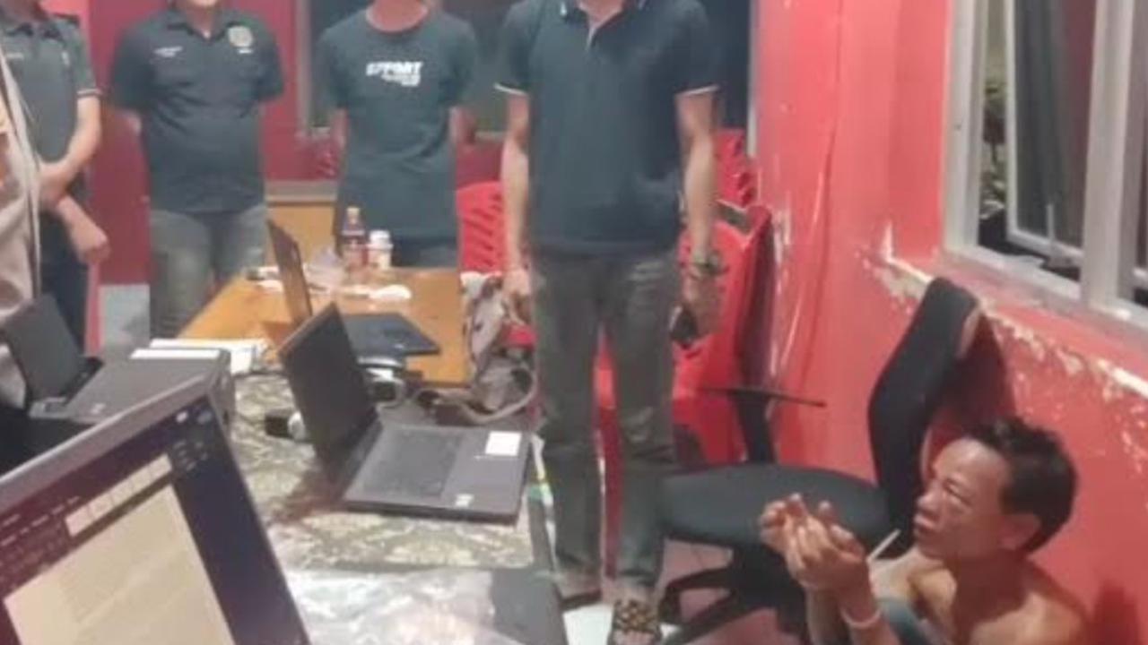 Heboh Pria Jagal 100 Ekor Kucing, Dagingnya Dijual Rp100.000 Per Kilo Ngakunya Kambing Muda