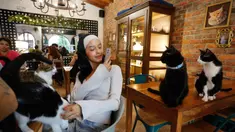 Seorang wanita memotret kucing-kucing di kedai kopi La Gatoria Cat Cafe di Medellin, Kolombia, pada tanggal 16 April 2024. (JAIME SALDARRIAGA/AFP)
