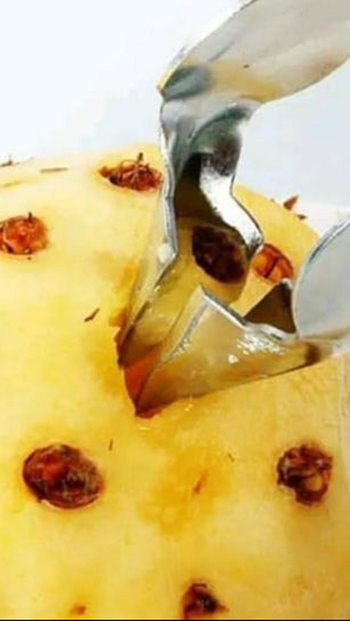 Cungkil Mata Nanas