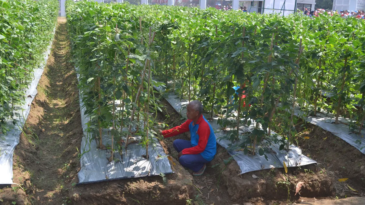 Fasilitas Istimewa Lapas Terbuka Kendal Bikin Betah Warga Binaan