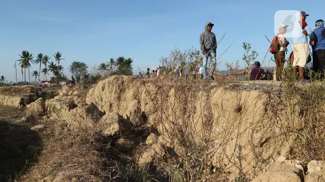 huntara palu