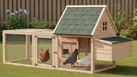 8 Desain Kandang Ayam Lipat Praktis, Mudah Dipindahkan, dan Nyaman untuk Peliharaan