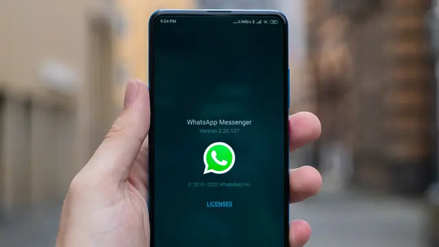 Whatsapp - Vania
