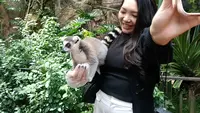 Bercengkerama dengan Lemur dan Kawan-kawannya di Batu Secret Zoo, Sekalian Belajar soal Konservasi
