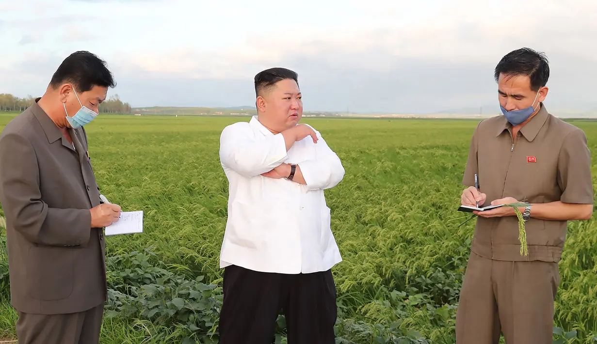 Dalam gambar tak bertanggal yang dirilis 28 Agustus 2020 memperlihatkan pemimpin Korea Utara, Kim Jong-un (tengah) mengunjungi daerah yang dilanda topan di Provinsi Hwanghae Selatan. Topan itu juga menyebabkan hujan lebat dan menumbangkan pohon. (STR/AFP/KCNA VIA KNS)