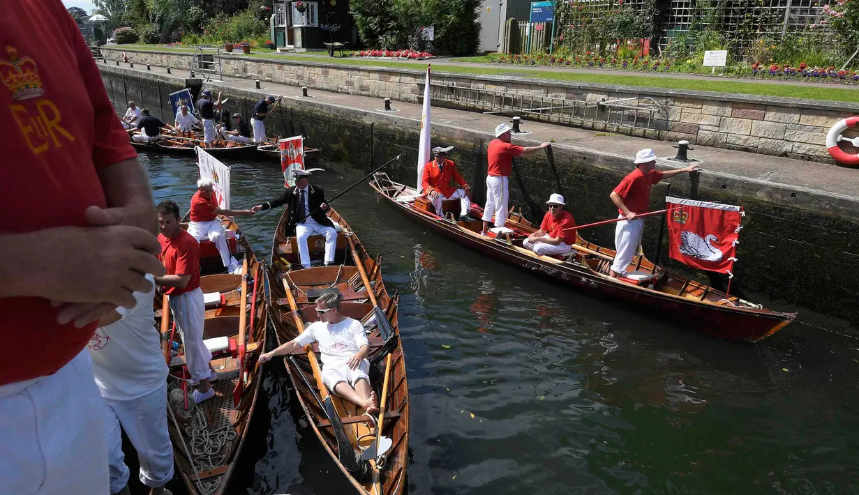 Petugas mencari angsa untuk disensus dalam Swan Upping di Shepperton, Inggris (18/7). Tradisi unik penghitungan angsa ini dimulai sejak abad 12 dan telah berusia sekitar 900 tahun. (REUTERS/Toby Melville)
