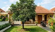 7 Cara Mengatasi Buah Alpukat Mudah Gugur agar Panen Lebih Maksimal