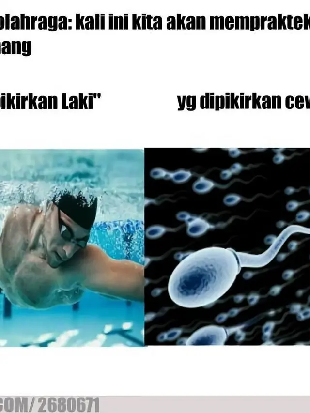hamil karena berenang