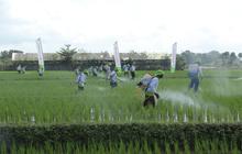 Koperasi Merah Putih Diarahkan Buka SPBU Khusus Petani