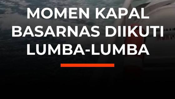 Momen Kapal Basarnas Diikuti Lumba-Lumba
