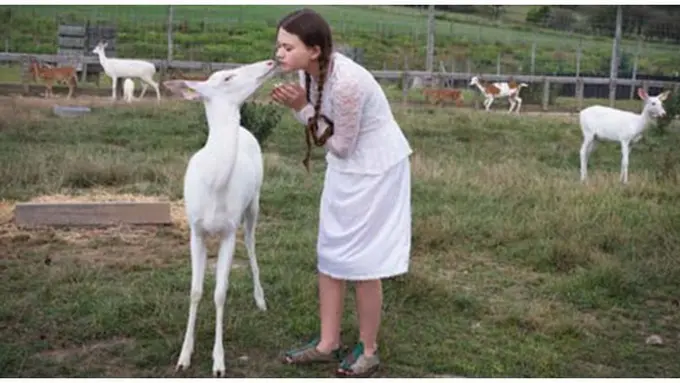 Foto : copyright viralnova.com