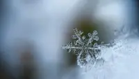 Russia Hit by Worst Snow Storm: Kamchatka Completely Paralyzed, Snowfall Reaches Record Heights