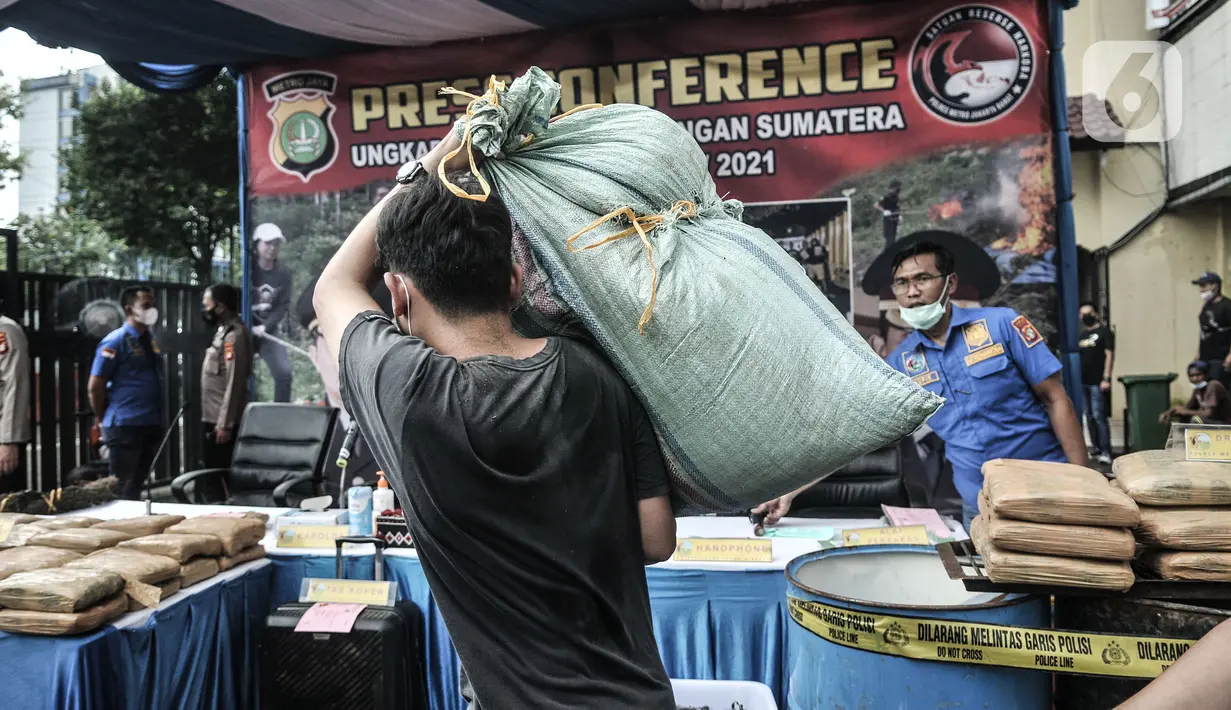 Petugas barang bukti dalam rilis pengungkapan ladang ganja di Mapolres Metro Jakarta Barat,, Selasa (9/3/2021). Satnarkoba Polres Jakbar menemukan ladang ganja seluas 12 hektare yang diperkirakan menghasilkan 144 ton ganja di Sumatera Utara. (merdeka.com/Iqbal S Nugroho)