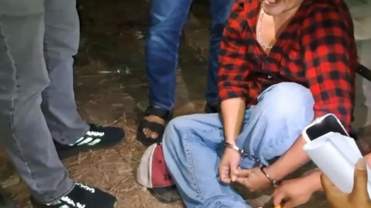 Pelaku pembantaian harimau sumatera ditangkap
