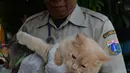 Petugas menyuntikkan vaksin anti rabies pada kucing milik warga di Kelapa Dua Wetan, Ciracas, Selasa (8/1). Kegiatan ini memberikan edukasi tentang pentingnya peran serta masyarakat dalam mempertahankan Jakarta Timur bebas rabies (Merdeka.com/Imam Buhori)