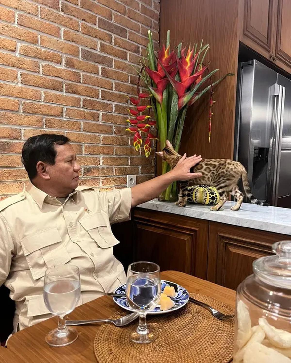 Foto Prabowo Gendong Kucing Bobby Kertanegara di Istana Disukai 2,3 Juta Orang, Rossa Sampai Gemas