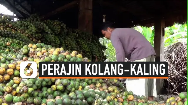 VIDEO: Permintaan Kolang-kaling Langkat Turun 50%