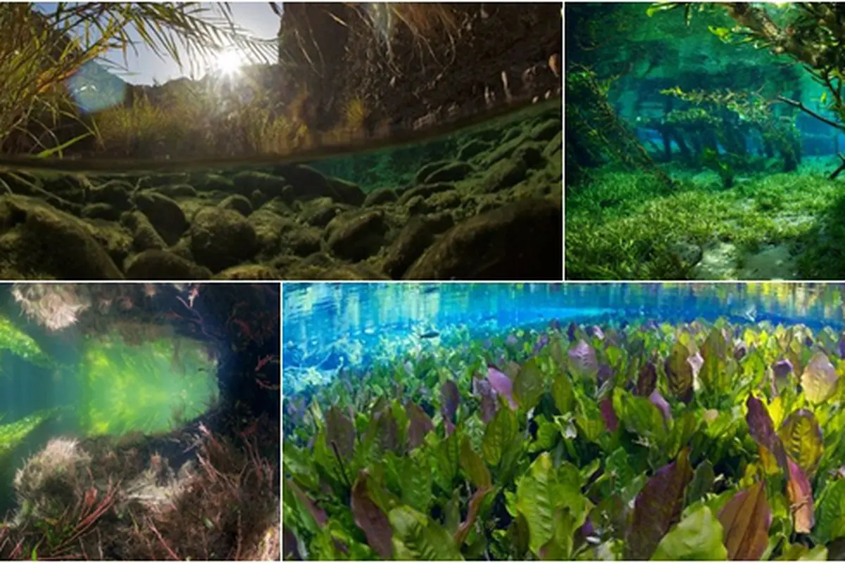 Courtesy NationalGeographic/Photograph by Michel Roggo
