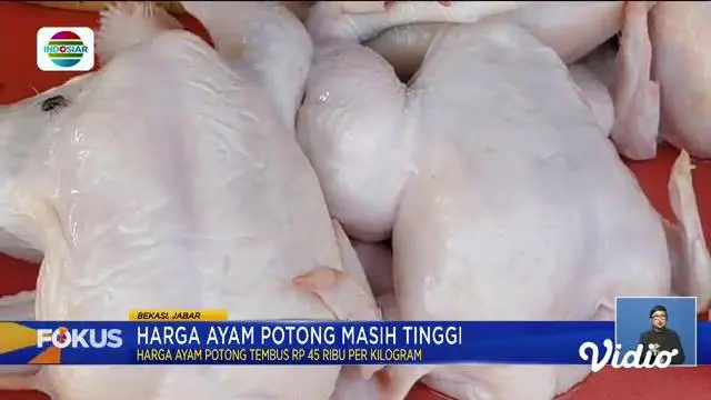 Fokus edisi (13/10) mengangkat beberapa topik pilihan sebagai berikut, Perahu Bawa Pelajar Karam, Kebakaran di Tempat Pembuangan Sampah, Pembalap MotoGP Tanam Terumbu Karang.