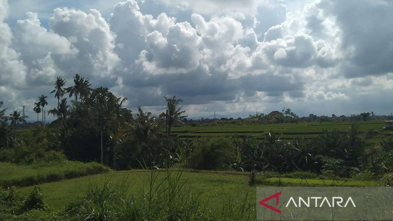 Sebagian Besar Daerah Berawan, Papua Tengah Diimbau Siaga Hujan Lebat