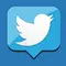 Twitter Comeback, Siapa Sosok di Baliknya?