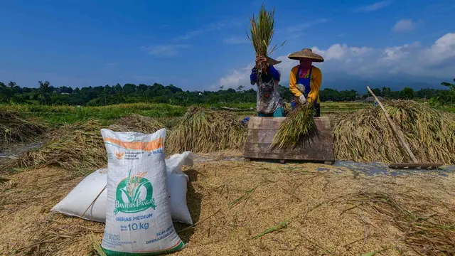 Awal April 2026, Serapan Beras Bulog Tembus 1,7 Juta Ton
