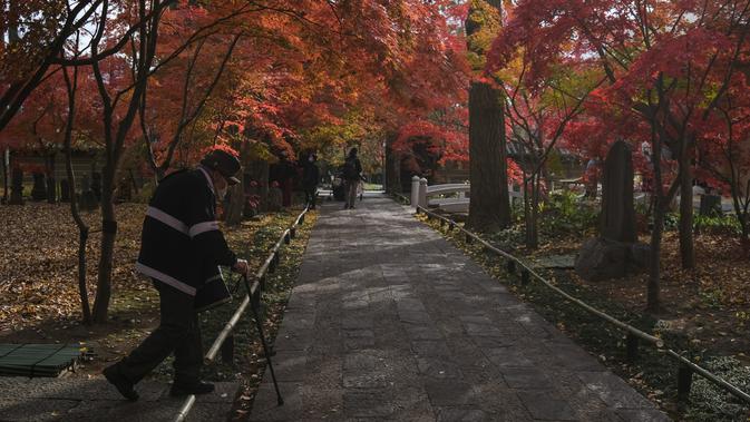 Seorang pria yang mengenakan masker mengunjungi kuil Buddha Joshinji sambil mengamati warna dedaunan musim gugur di Tokyo, Jepang pada 9 Desember 2020. (AP Photo/Kiichiro Sato)