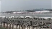 Sebuah video viral memperlihatkan aktivitas pemagaran laut di wilayah Kabupaten Bekasi, Jawa Barat. (Foto: Istimewa/Tangkapan Layar Akun TikTok @riesamsadewa)