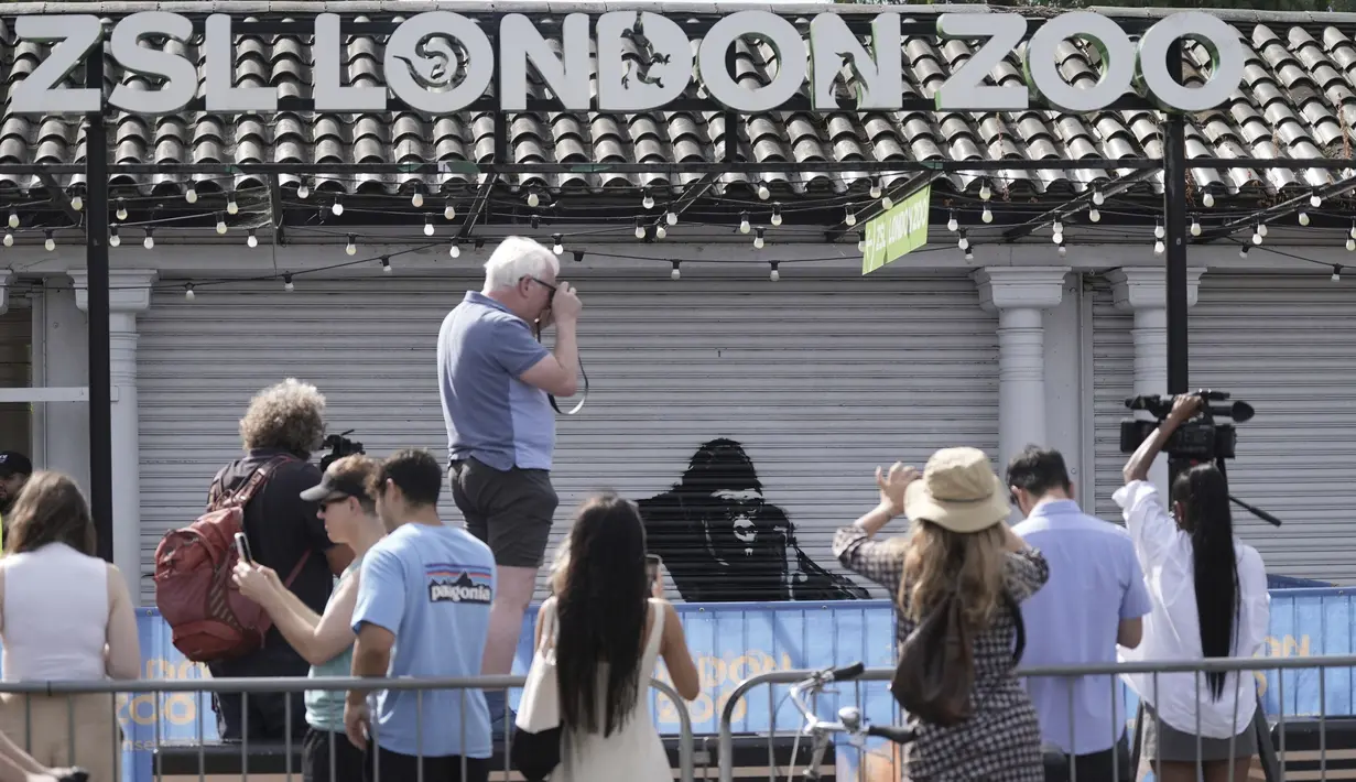 Para pekerja yang tiba di Kebun Binatang London pada hari Selasa pagi terkejut ketika menemukan pameran tak terduga yang menunjukkan hewan-hewan tersebut sedang dibebaskan. (Stefan Rousseau/PA via AP)