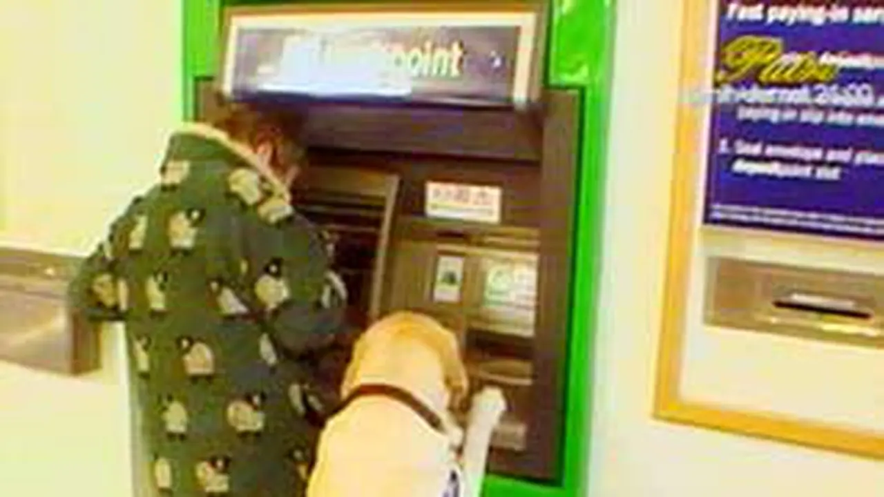 100307bln_anjing_cct.jpg