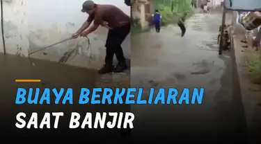 Momen seekor buaya berkeliaran di genangan air saat banjir viral di media sosial.