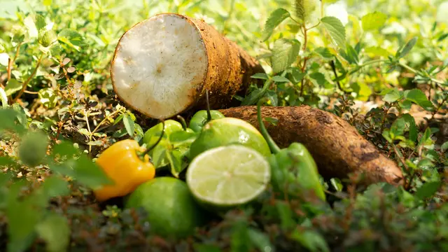 Memperkuat Sistem Kekebalan Tubuh